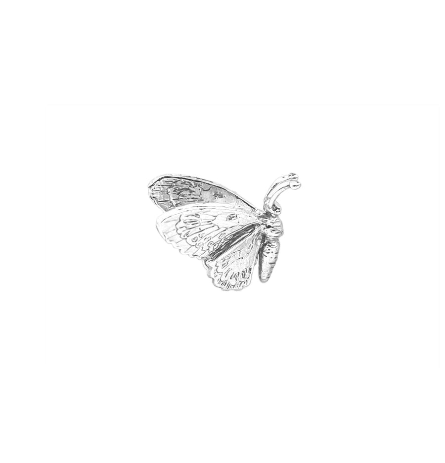 Wild Queen Alexandra’s Birdwing Butterfly Single Stud Earring