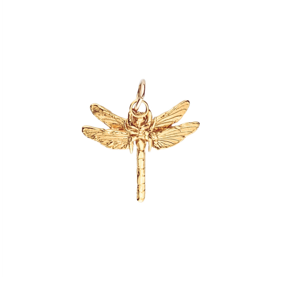 Southern Hawker Dragonfly Charm Pendant