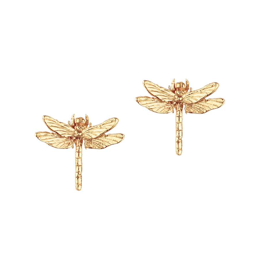 Southern Hawker Dragonfly Stud Earrings