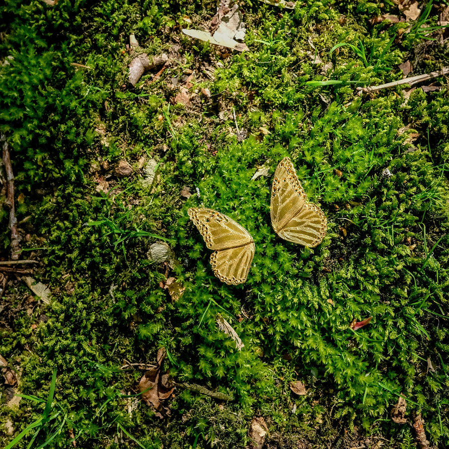Monarch Butterfly Single Shoe Charm