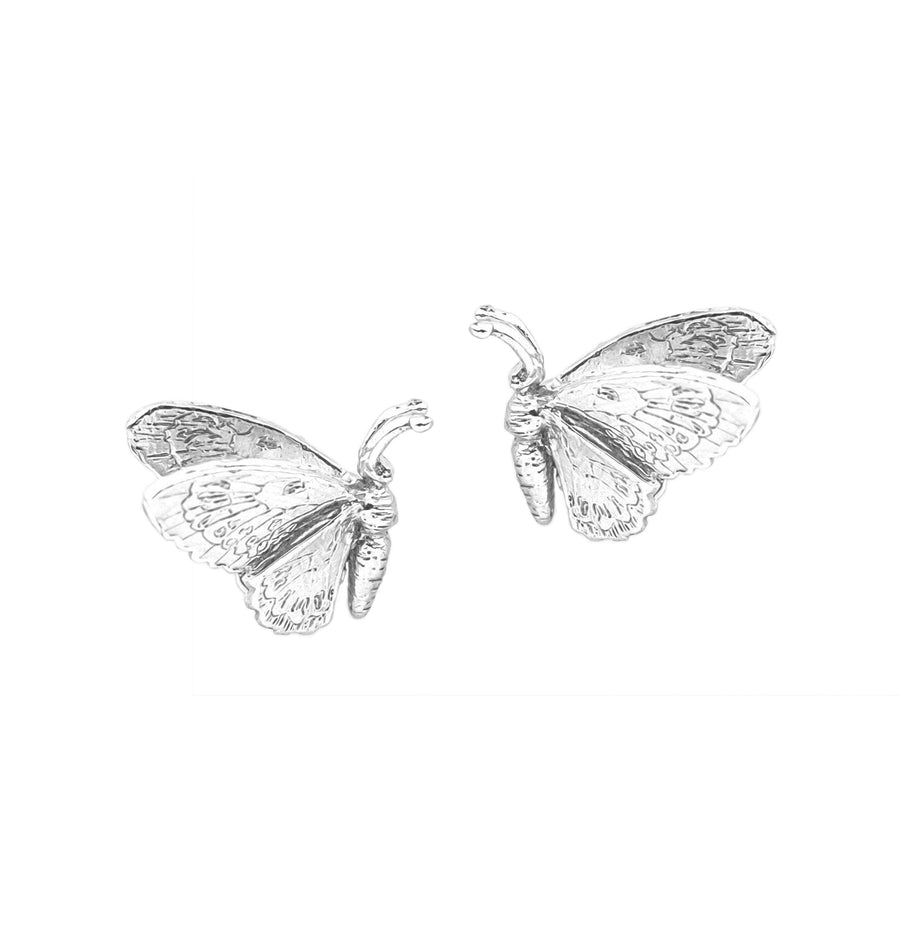 Wild Butterfly Stud Earrings