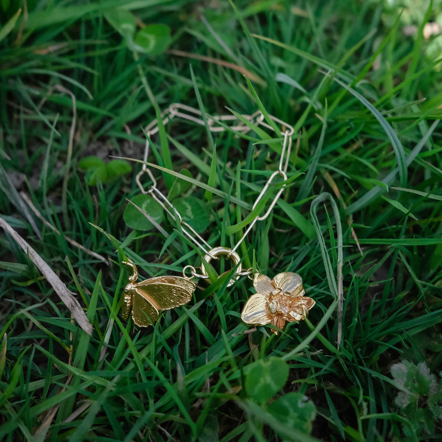 Wild Queen Alexandra’s Birdwing Butterfly Charm