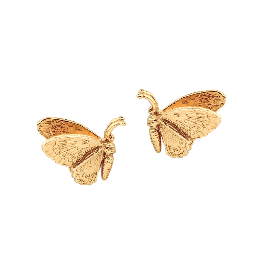 Silver Wild Butterfly Stud Earrings
