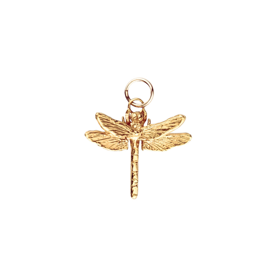 Southern Hawker Dragonfly Charm Pendant