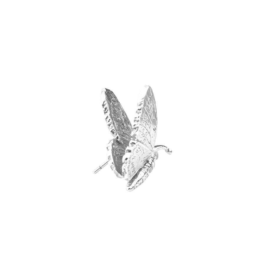 Silver Wild Queen Alexandra’s Birdwing Butterfly Single Stud Earring