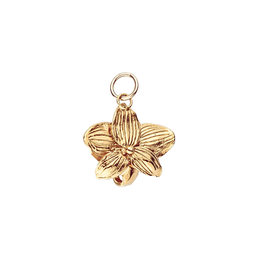 Silver Wild Moth Orchid Charm Pendant