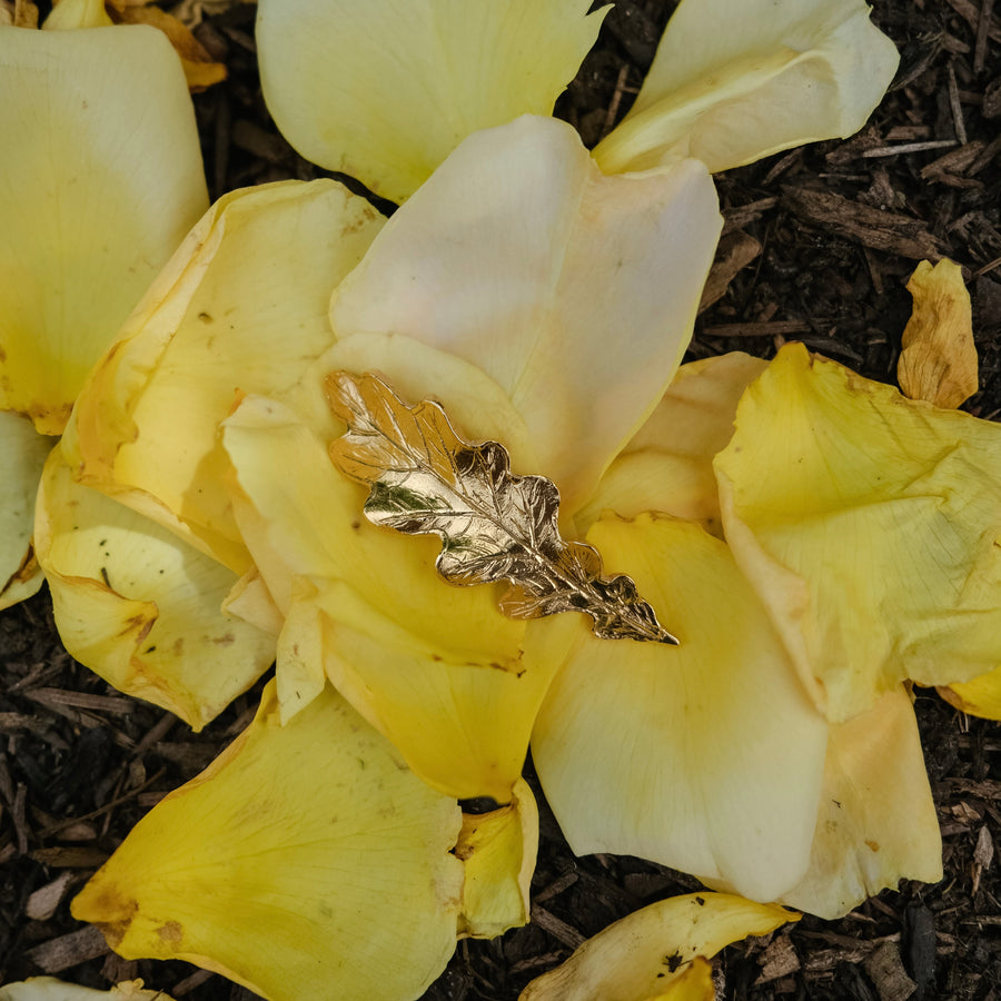 Silver Fallen Acorn Leaf Necklace