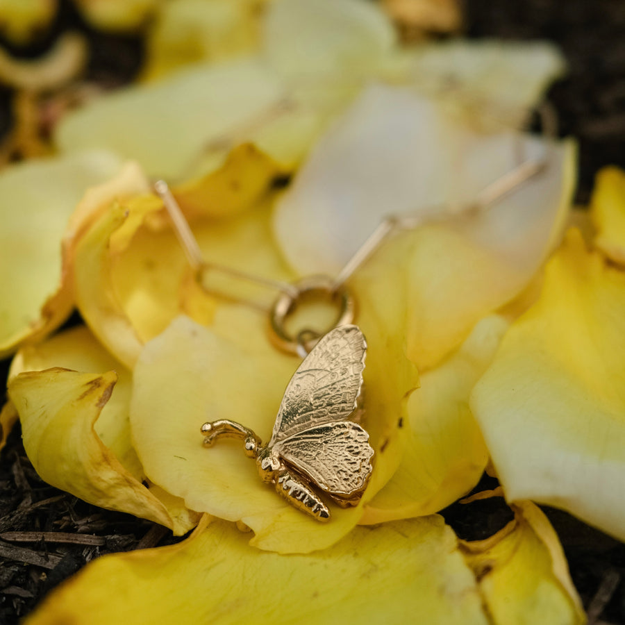 Silver Wild Queen Alexandra’s Birdwing Butterfly Charm