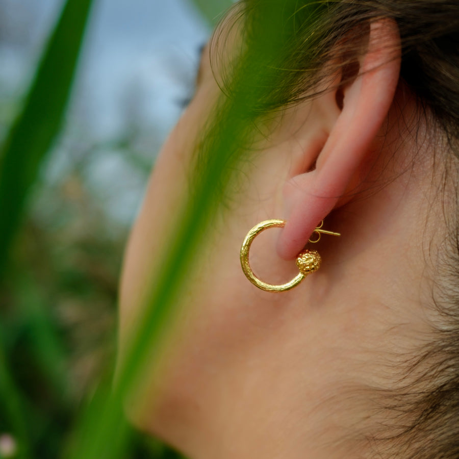 Sycamore Seed Pod Hooped Studs