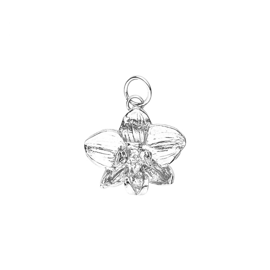 Silver Wild Moth Orchid Set