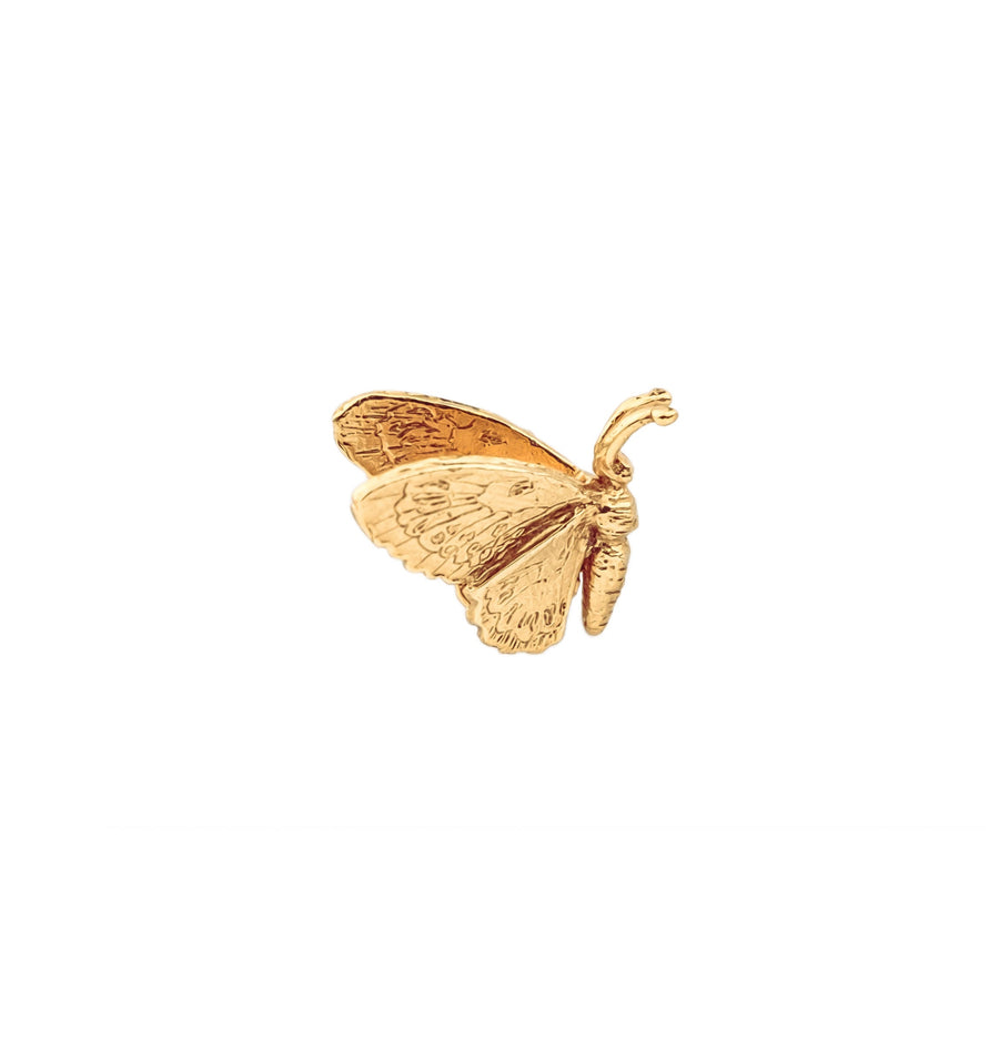 Silver Wild Queen Alexandra’s Birdwing Butterfly Single Stud Earring